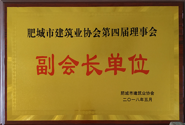 肥城市建筑业协会副会长单位